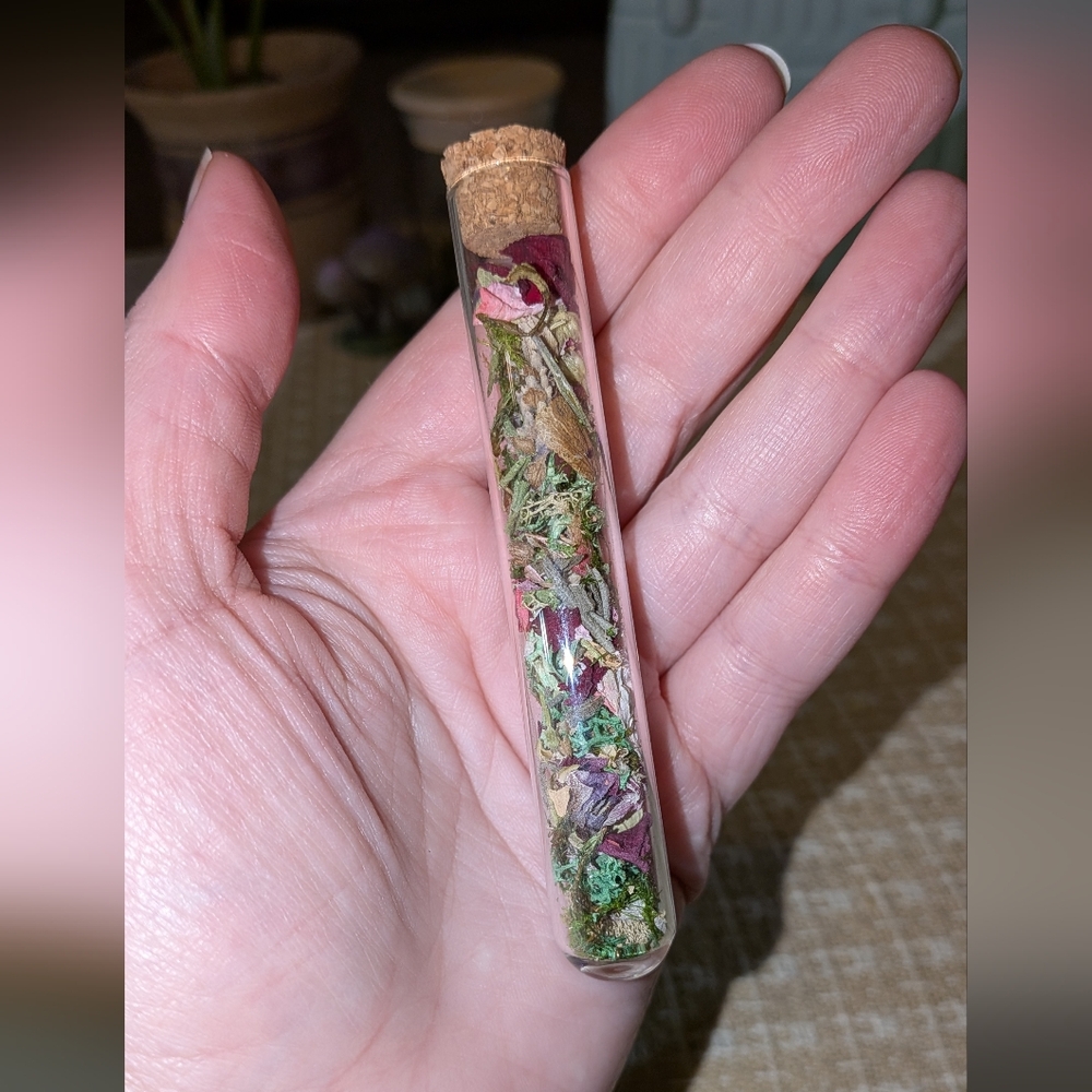 Handmade Botanical Glass Vial Terrarium - Picture 4 of 5